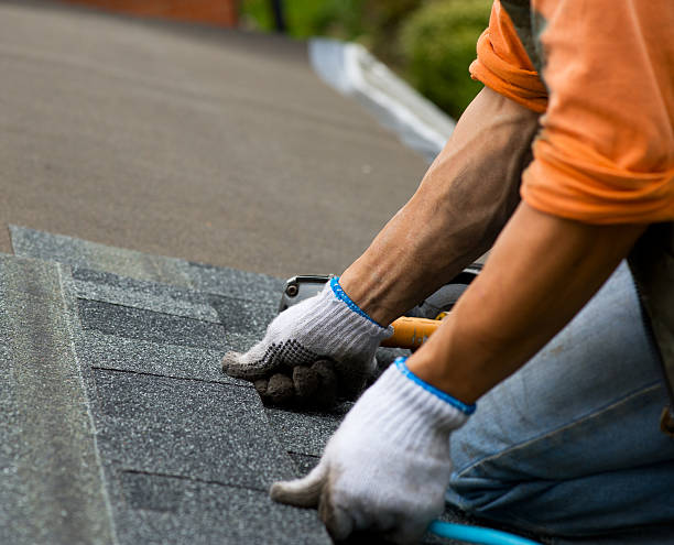 Best Roof Gutter Cleaning  in Alturas, CA